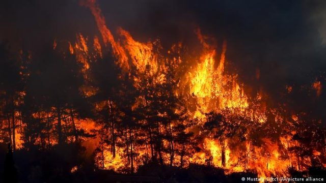 Қазақстанның екі тікұшағы Түркиядағы орман өртін cөндіруге кірісті