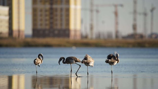 Экология министрлігі Талдыкөлді су объектісі ретінде қалдыруды ұсынды
