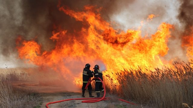 Шығыс Қазақстан облысында 30 гектар қамыс өртеніп жатыр