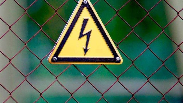 Қарағанды облысында 5 жастағы баланы тоқ соқты