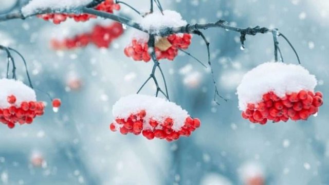 Қазақстанның солтүстік-батысында қар жауады