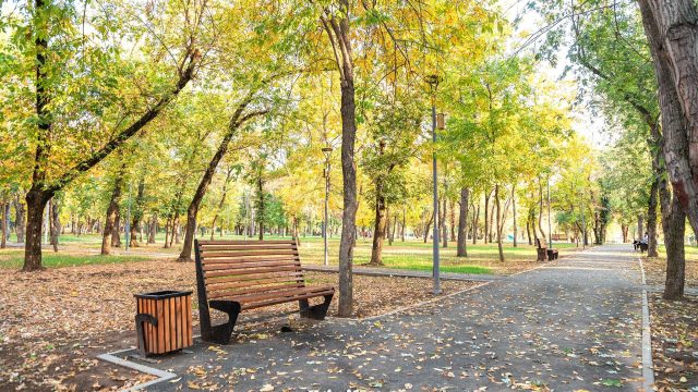 Алматының Медеу ауданында заманауи аллея салынды