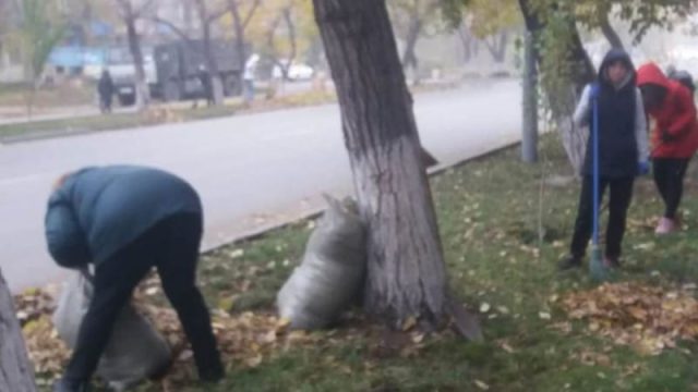 Семейде мұғалімдерге көше сыпырғызған лауазымды тұлғалар жазаланды