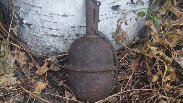 СҚО-да 17 жастағы жасөспірім граната тауып алды