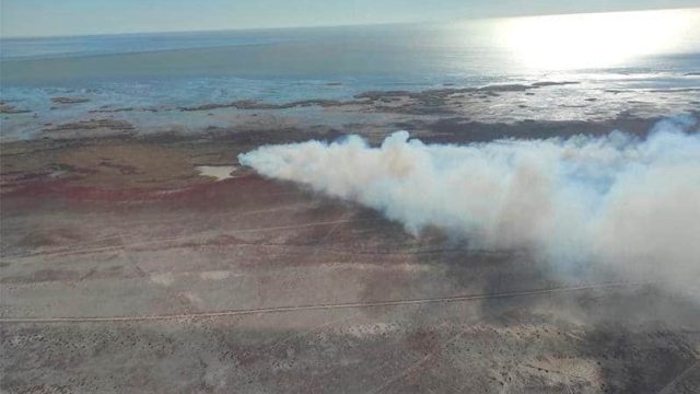 Каспий жағалауындағы қамыс өрті сөндірілді