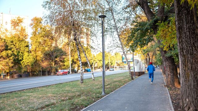 Алматыда Момышұлы көшесінің бір бөлігі уақытша жабылады