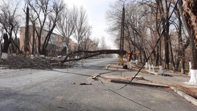 Жамбыл облысындағы дауыл салдарынан бір адам қаза тапты