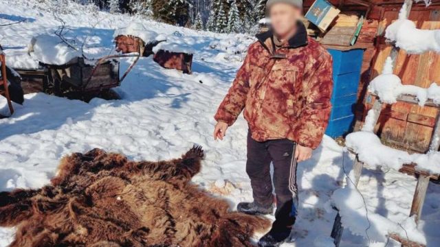 Шығыс Қазақстан облысында аю атқан браконьер ұсталды