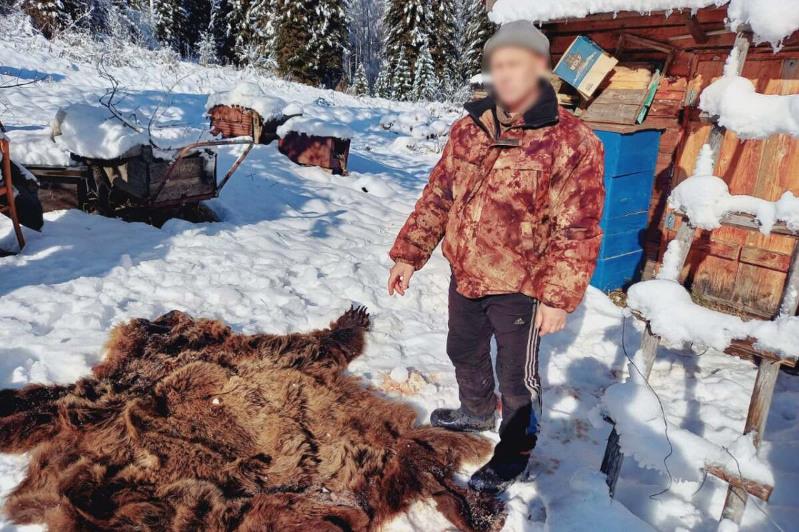 Аю, броконер