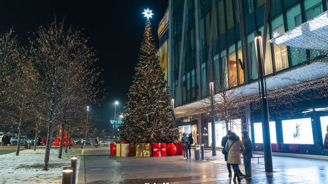 ТЖМ жаңажылдық шыршаларды орнату ережелерін еске салды