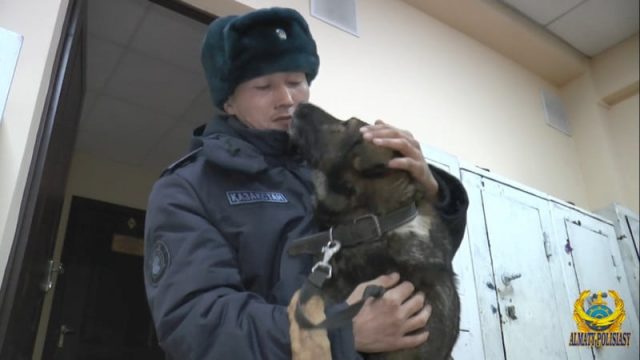 Алматы полициясы сарбаз бен тәртіпсіздік кезінде ұрланған иттің кездескен сәтін көрсетті