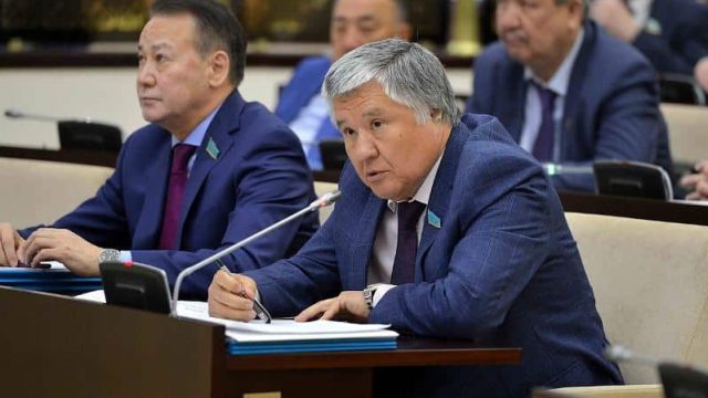 Сенатор ел бюджетінің кірісін қалай арттыруға болатынын айтты