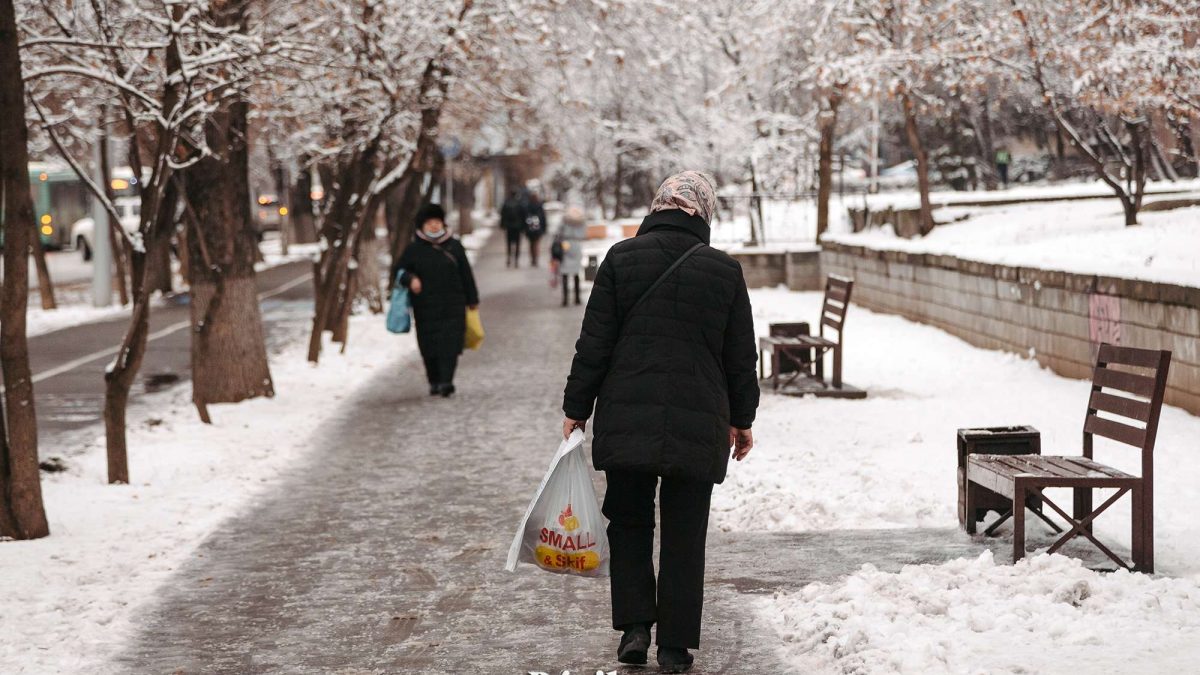 коронавирус, пандемия, Алматы, зейнеткер, азық-түлік, ауа райы, қыс