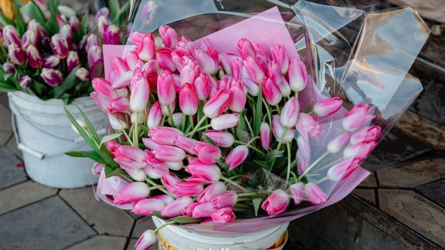 Гүл, көкөніс, ет: Астанада 8 наурызға орай жәрмеңке өтеді
