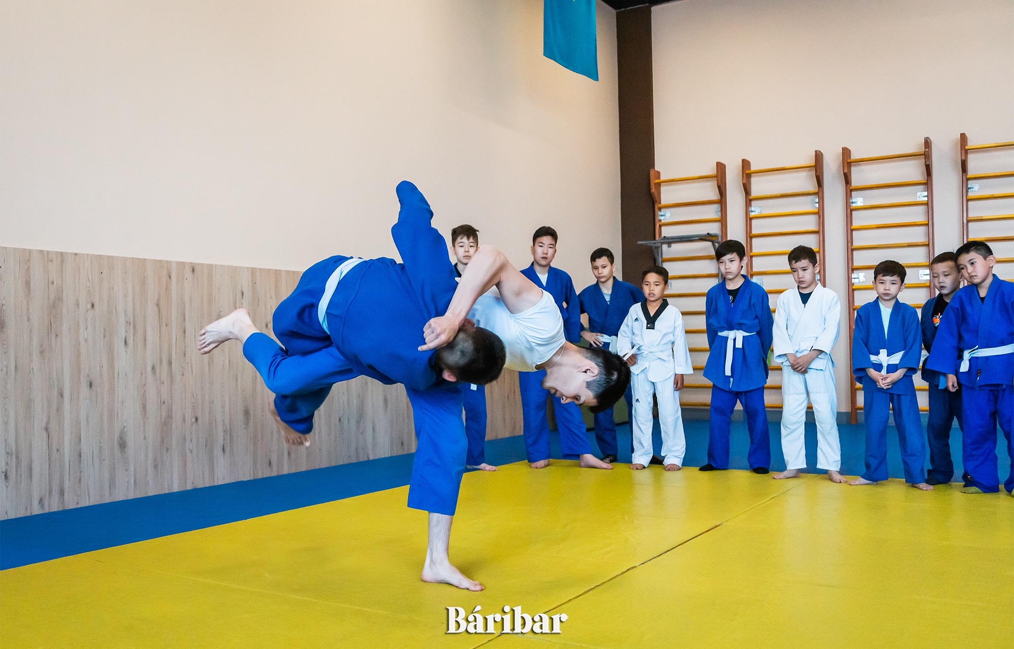 дзюдо, спорт, күрес