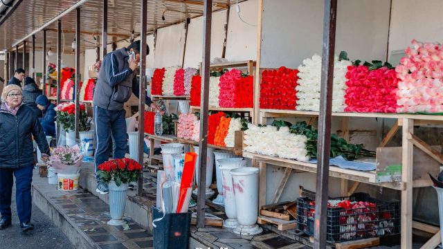 Алматыда 8 наурыз қарсаңында гүл сататын 1150 орын белгіленді