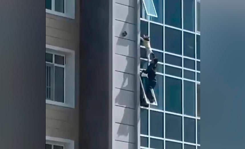терезе, бүлдіршін
