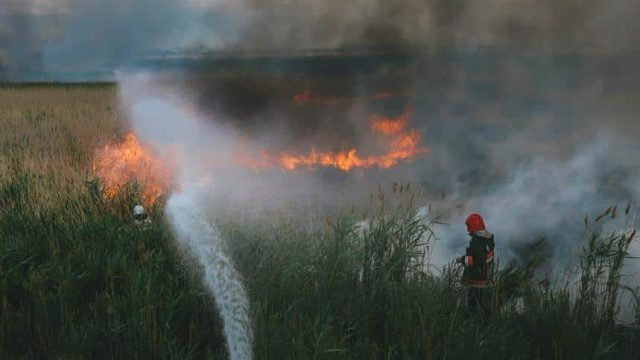 Нұр-Сұлтанда екі тәуліктен кейін дала өрті сөндірілді