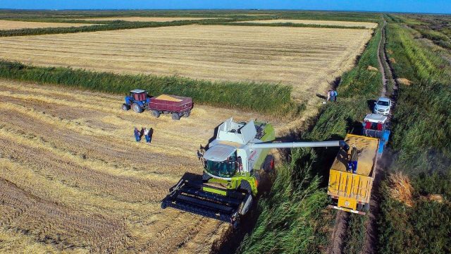 Үш жылда ауылдарды дамытуға бюджеттен 326 миллиард теңге бөлінді