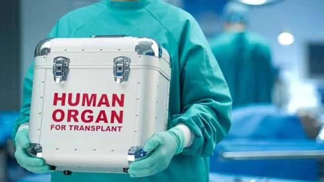 Елде донор ағзасын 24 сағат бойы сақтайтын құрылғы бар