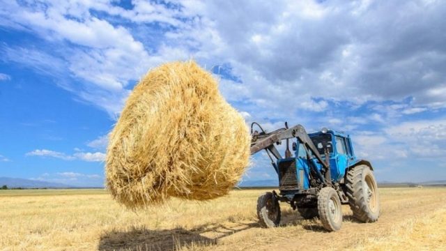 ШҚО-да 600 тонна шөп жанып кетті