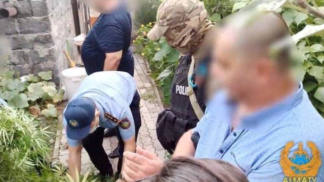Алматы тұрғынынан 24 келі марихуана табылды