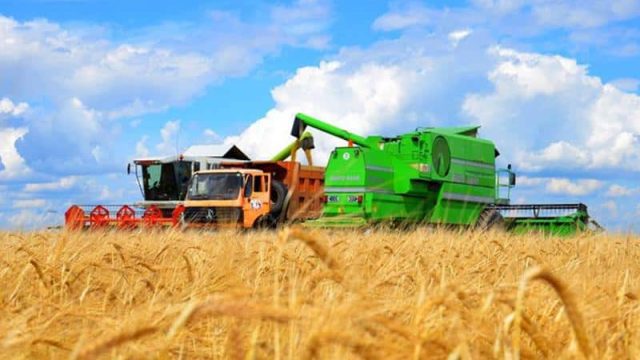 Батыс Қазақстанда биыл 295 мың тонна астық орылды