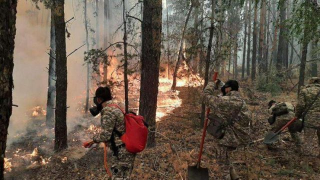 Қостанай облысындағы өрт толық сөндірілді