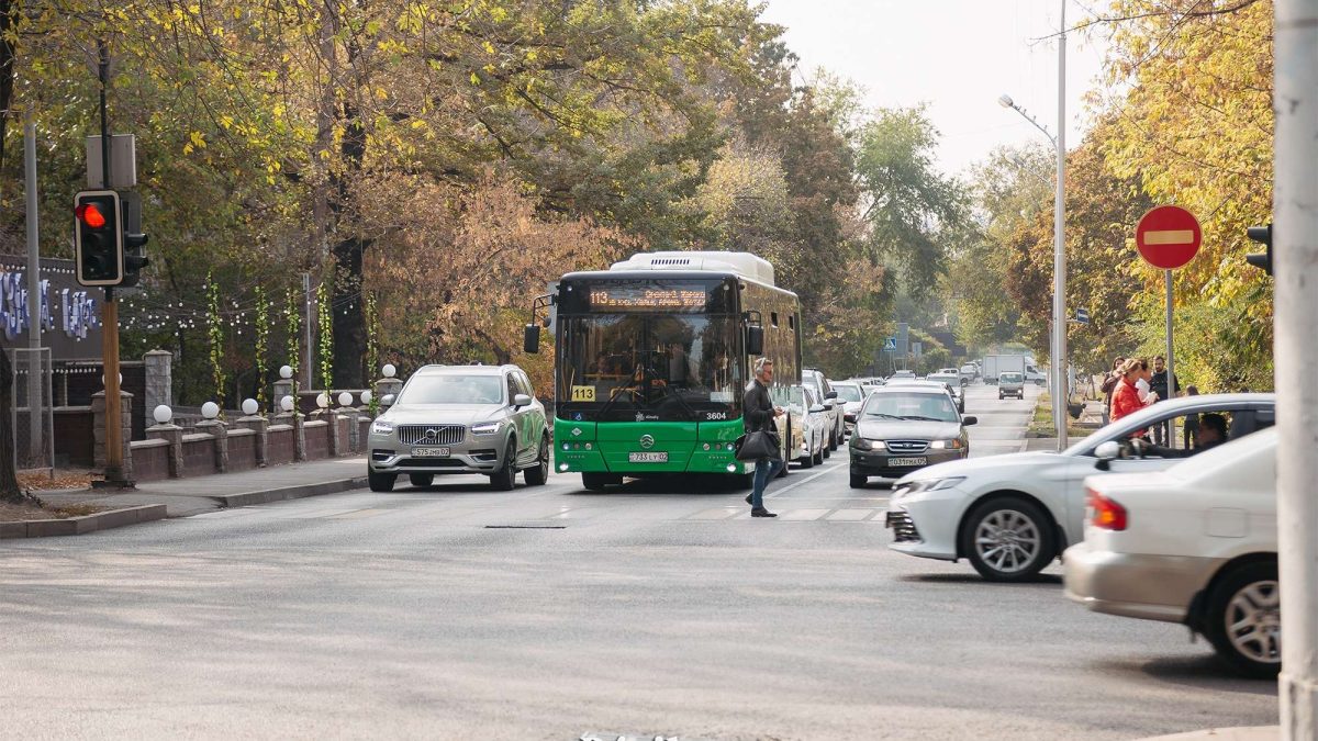 автобус, көлік, жол, күз