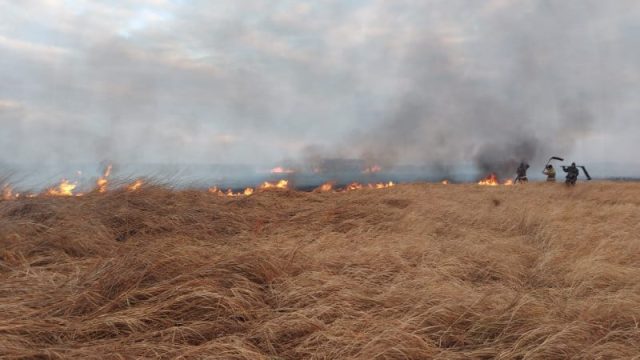 Павлодар облысындағы өрт сөндірілді