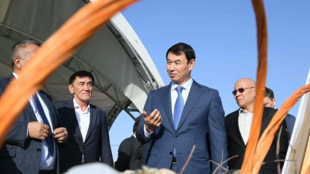 Сатыбалды: Ауыл шаруашылығы саласын Келес ауданының брендіне айналдыруға болады