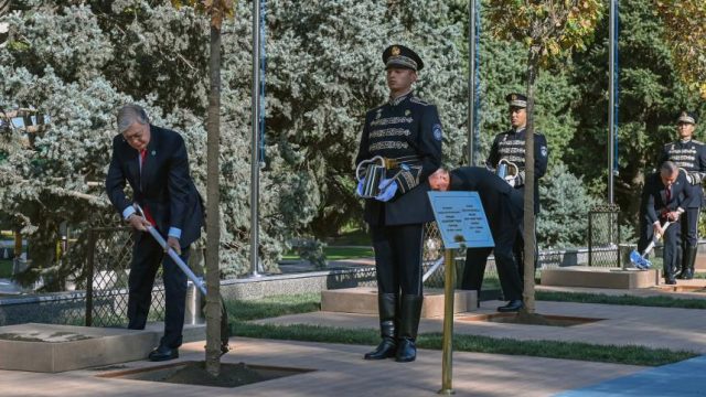 Мемлекет басшысы Самарқандта тал егу шарасына қатысты