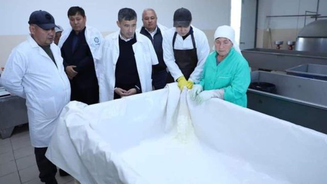 Сарыағаштағы кәсіпорын тәулігіне 20 тонна сүт өңдейді