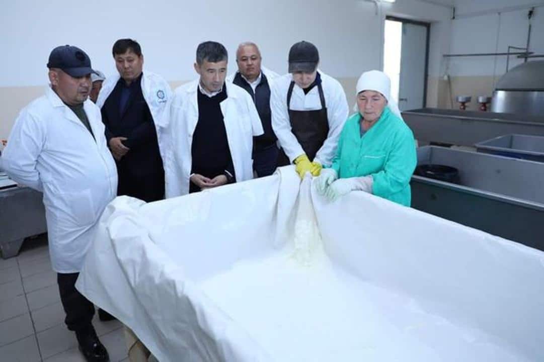 Перерабатывает тонн. Туркестан новости