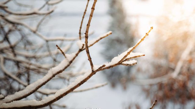 Елімізде 16-18 наурыз күндері ауа райы қандай болады?