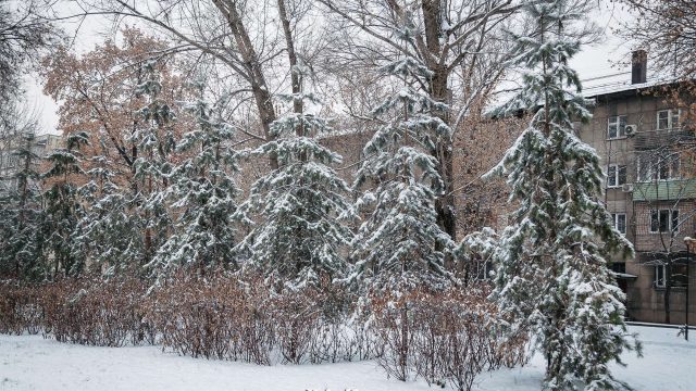 28 градус аяз: алдағы күндері ауа райы қандай болады?