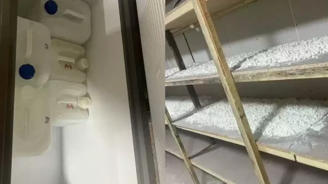 Алматы облысында ірі есірткі зертханасы жойылды