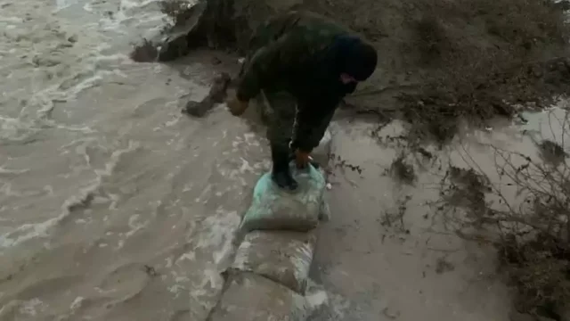 Бәйдібек ауданында 36 мал тасқын су астында қалды
