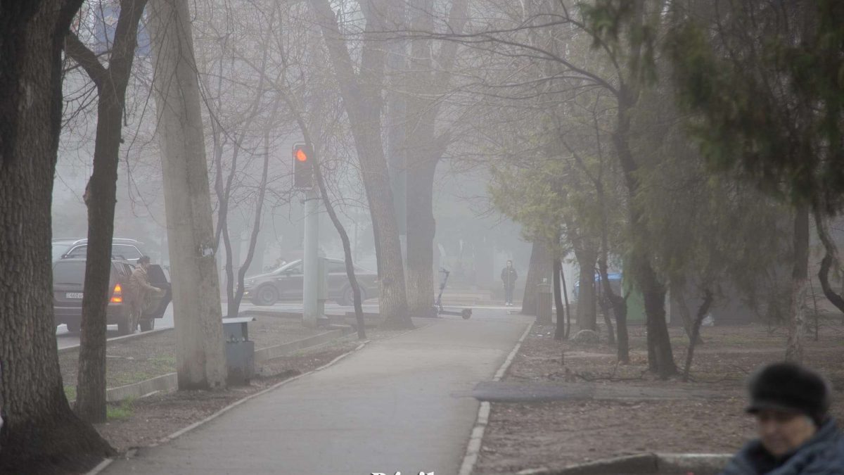 тұман, ауа райы