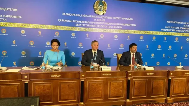 ТМД байқаушылары сайлауға қатысты пікір айтты