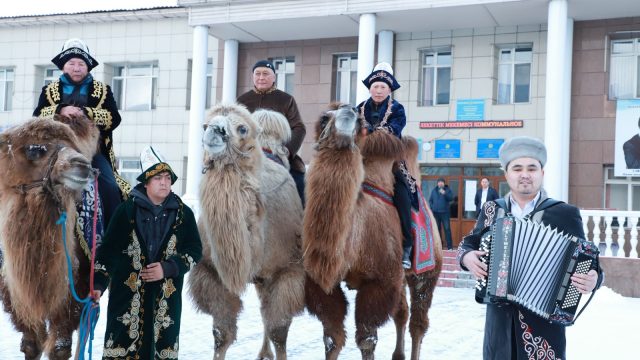 Талдықорғандықтар сайлау учаскесіне түйеге мініп келді