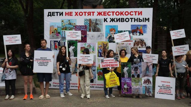 Алматыда жануарларға зорлық-зомбылық жасауға  қарсы митиң өтті