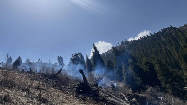 Медеудегі тау баурайындағы өрттің қазіргі жағдайы қандай?