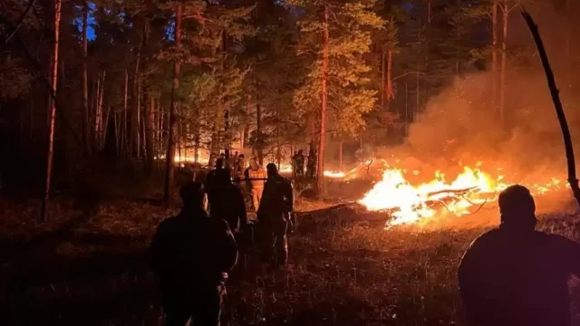 Семей орманындағы өрт бойынша үш нұсқа қаралып жатыр
