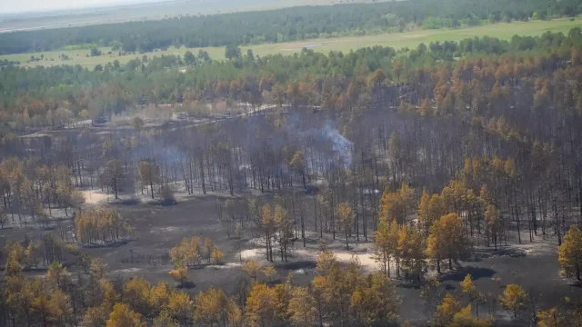 Абай облысында төрт күн бұрын басталған өрт сөндірілді