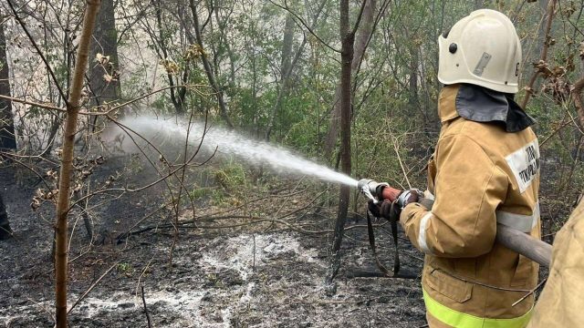 Абай облысының Бесқарағай ауданында құрғақ шөп өртенді
