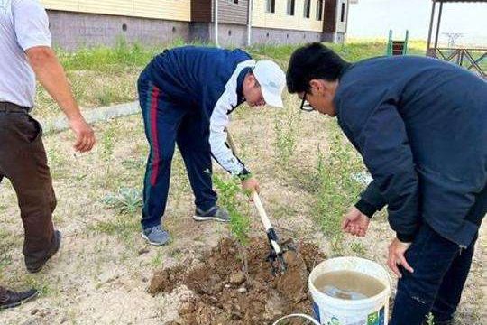 Сарығаш ауданында санитария-тазалық жұмыстары жүргізілді