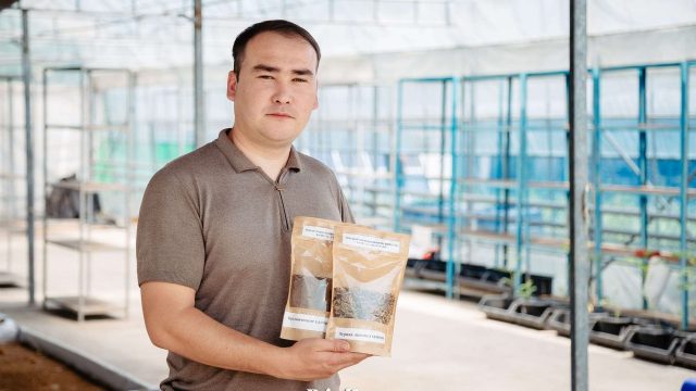 Қалдықтың 99%-ін өңдейді. «Қара сарбаз» шыбынын өсірудің пайдасы қандай?