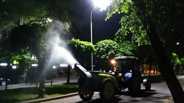 Алматыда ағаштар неге әктелмейді? Қала әкімі жауап берді
