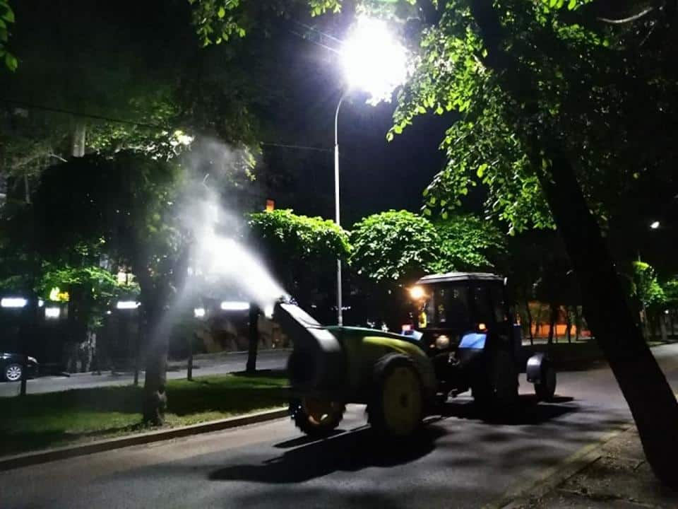 Алматыда ағаштар неге әктелмейді? Қала әкімі жауап берді